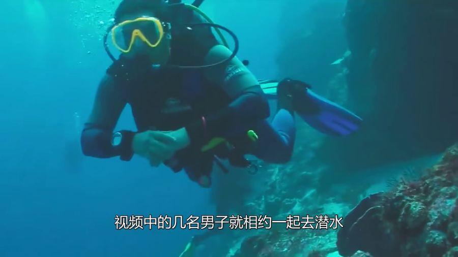 探索知识星球平台——现在00后为什么比父母要高的多?带你开启全新视野